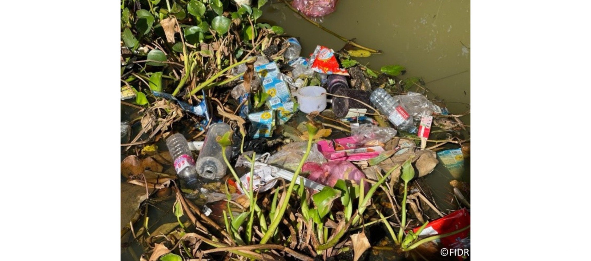 3d4ad4184359f968865d596502c23356-1765515032.jpg 3d4ad4184359f968865d596502c23356-1765515032.jpg