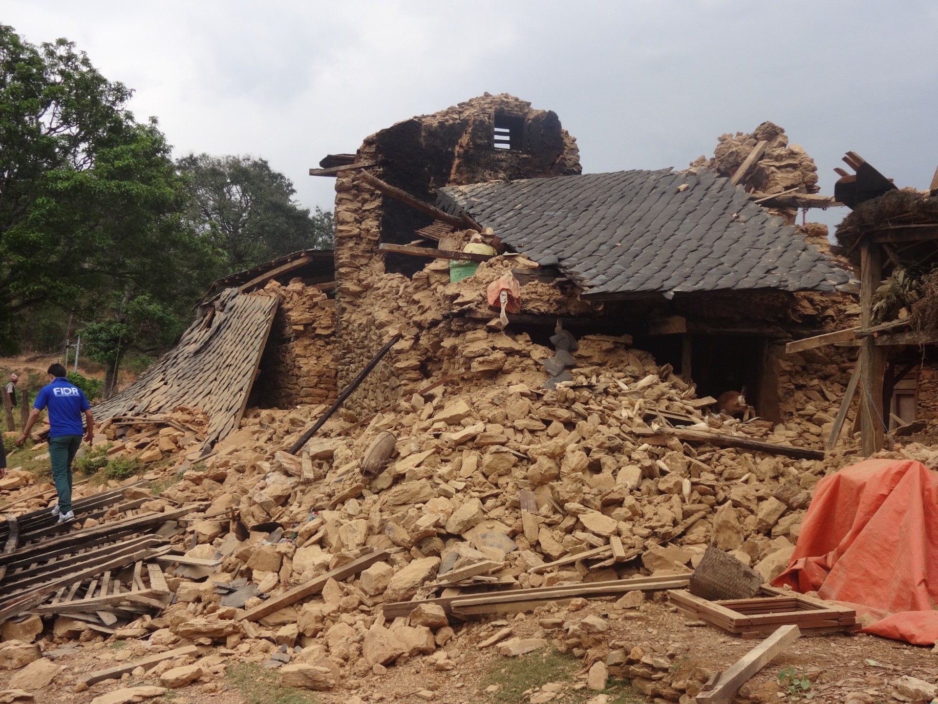 ネパール大地震緊急・復興支援