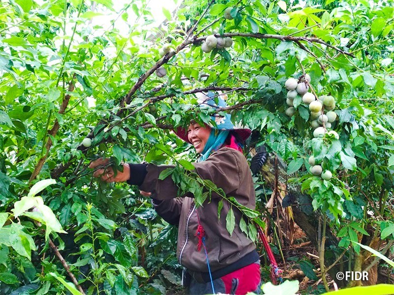 We conducted monitoring in Son La province upon the project commencement