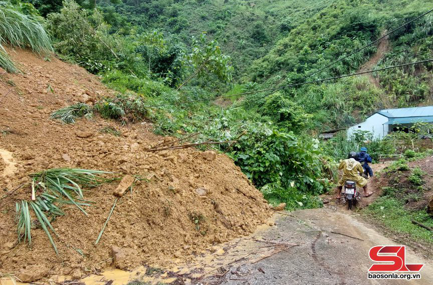 ベトナム北部台風緊急援助