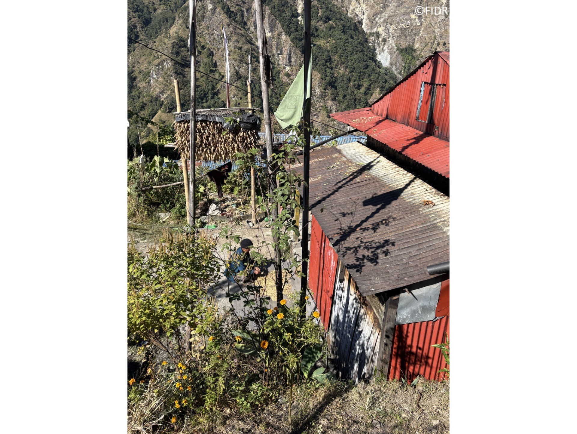 お花を育てるのはなぜ？